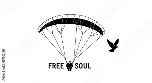 Free Spirit Paraglider Soaring With Birds Adventure Icon