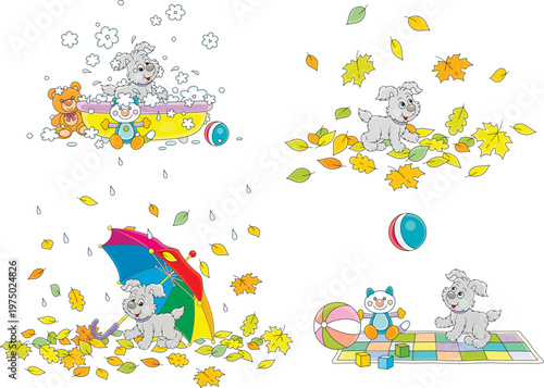 Cute little puppy walking on colorful fallen autumn leaves around a park, hiding under an umbrella in rain, playing and washing, a set of vector cartoon illustrations isolated on a white background