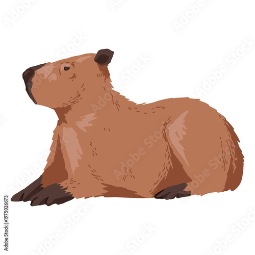 Brown bear laying down