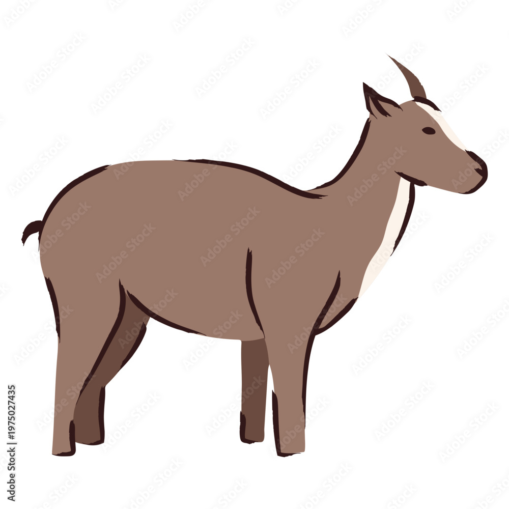 Obraz premium Brown goat standing