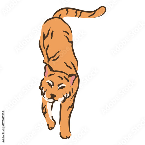 Tiger walking color stroke