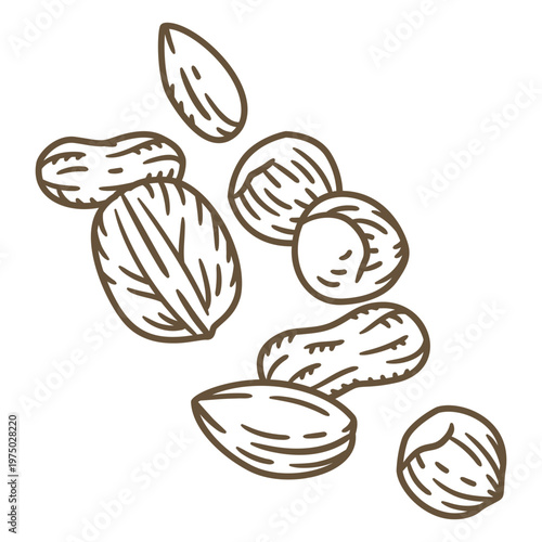 Peanuts hazelnuts and almonds