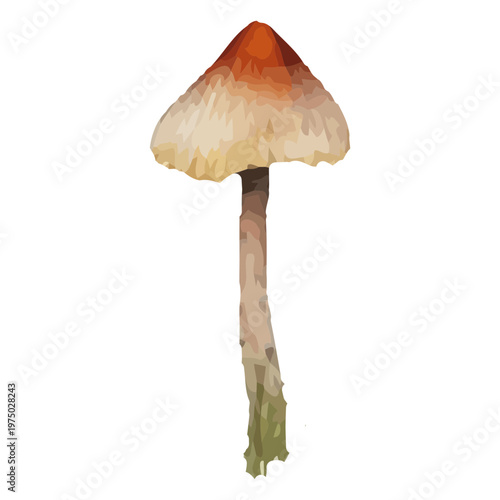 Stylized mushroom illustration with warm hues