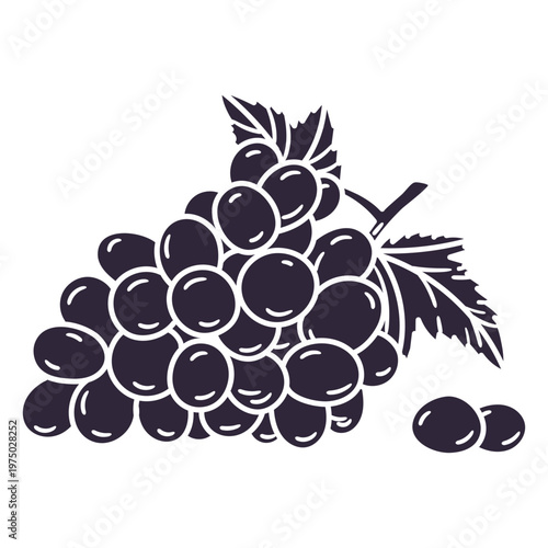 Elegant grape cluster illustration