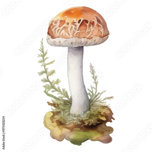 Whimsical mushroom illustration on a neutral background