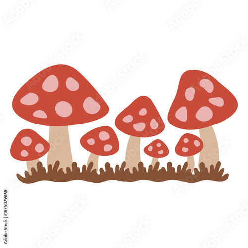 Group of mushrooms