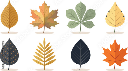 Foto Autumn Leaf Icon Set with Maple Birch Chestnut and Decorative Foliage Shapes for
