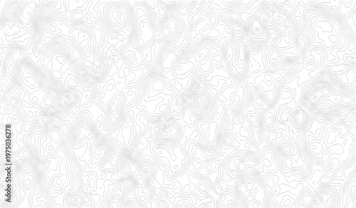 Topographic map contour line vector background with grey elevation curves on white surface for geography design.