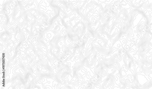 Topographic map contour line vector background with grey elevation curves on white surface for geography design.