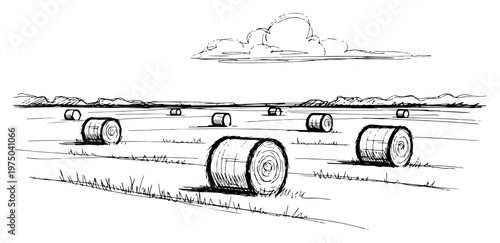 Hay bales in a rural farm field landscape in hand drawn sketch style