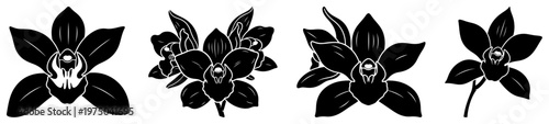 Orchid flowers set with various blossom shapes silhouette