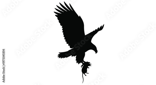 Majestic eagle in flight carrying prey a striking black silhouette