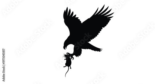 Eagle carrying a mouse in its talons a striking silhouette