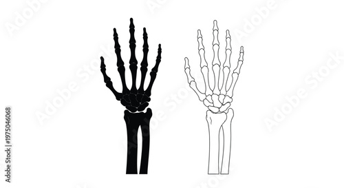 Human hands one skeletal and one in solid black silhouette