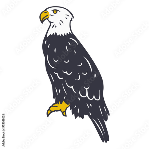 Bald eagle sitting