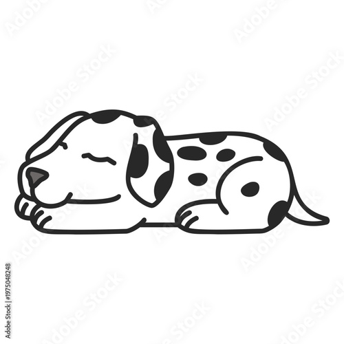 Dalmatian sleeping