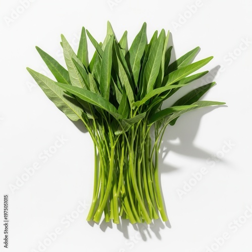 Fresh Green Water Spinach Bunch On White Isolated Background