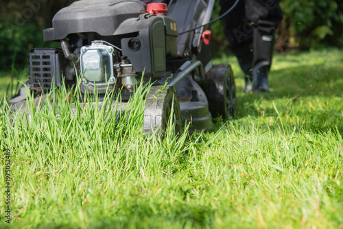 Detailed close-up of lawn mower cutting tall grass in a garden. Powerful landscaping equipment in action, symbolizing lawn care, maintenance, and outdoor work