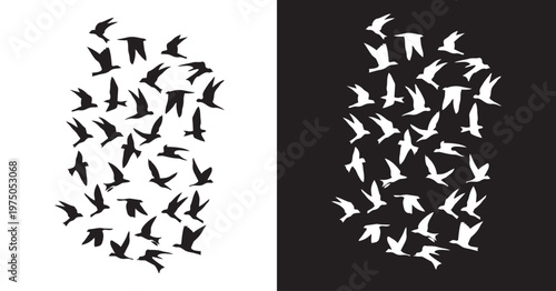 Black and White Swarm: Two contrasting silhouettes showcase a flock of birds in dynamic flight against monochrome backdrops. Evoking a sense of freedom, movement.
