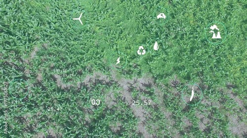 Drone hovering above crops numbers updating footprint and wind icons pulsing monitoring farm