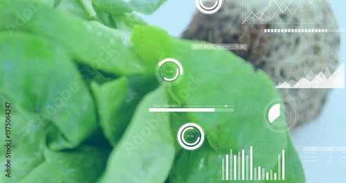 Camera zooming toward leaves, root plug receding, HUD charts animating over foliage for agriculture