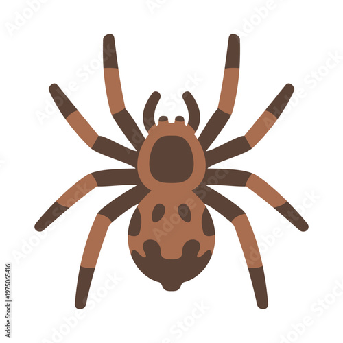 Tarantula Illustration Vector Template Design