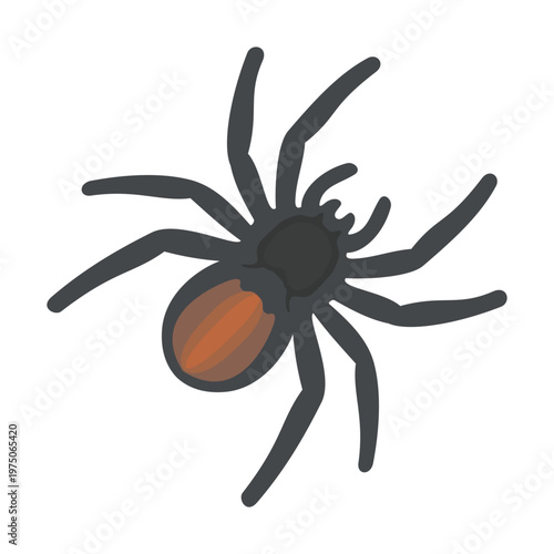 Black Tarantula Illustration Vector Template Design