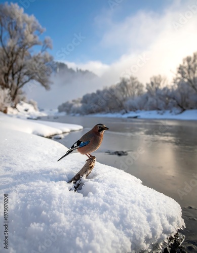A vibrant bird perches on a snow-covered bank, overlooking a flowing river scene, with frosty trees and a bright blue sky