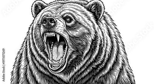 Powerful Roaring Bear Head Engraving Style Illustration. Detailed Hand-Drawn Wild Animal Artwork in Black and White.
