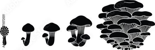 Mushroom Growth Lifecycle Silhouette Vecto