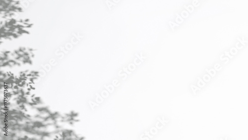 Quadro su tela Abstract tree branches corner shadow on wind background, 3d rendering