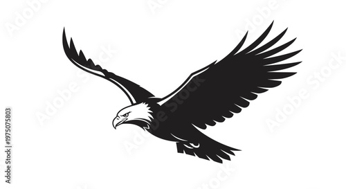 Majestic Bald Eagle Flying Vector Illustration. Stylized Black and White Bird of Prey Graphic. Freedom and Strength Symbol.