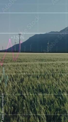 Vertical video: Overlays appearing, line charts rising across wheat field, showing yield trends
