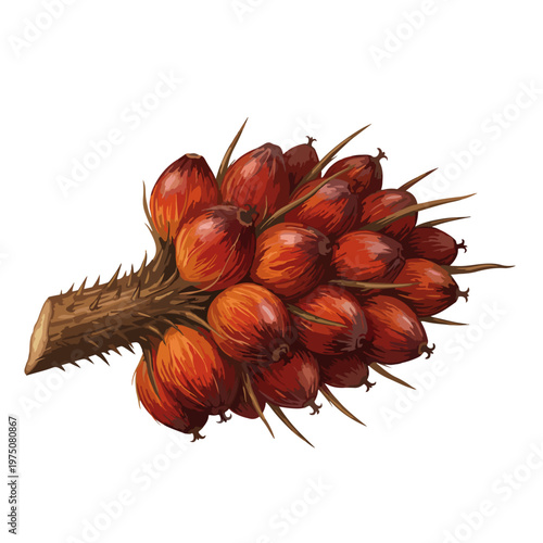 Detailed oil palm fruit bunch in a clean vector style