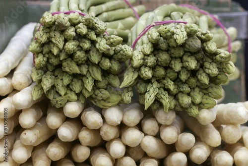 Asparagus (Asparagus officinalis), green and white