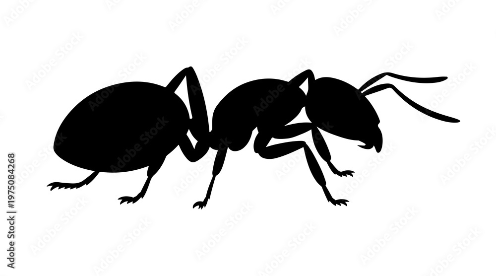 Fototapeta premium Silhouette of a walking ant in profile