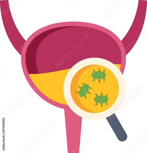Urinary bladder containing urine and bacteria, highlighted by a magnifying glass