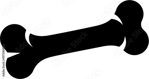 Human Femur Bone Silhouette for Medical and Orthopedic Concept