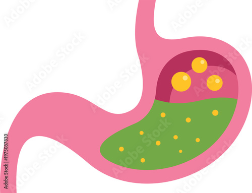 Human stomach with digestive enzymes processing food