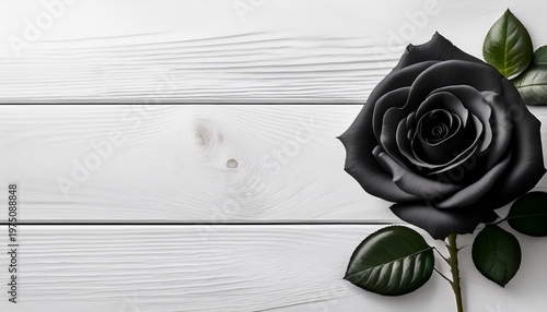 Black Rose On White Wood Sympathy Card Design