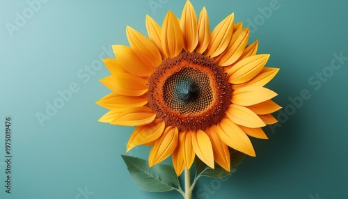 A Vibrant Sunflower Against A Minimalist Background