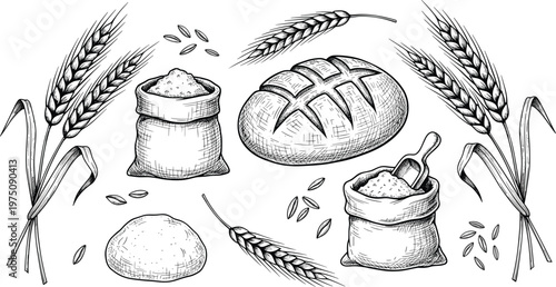 Sketch art of bread, wheat and flour in bags on transparent background.