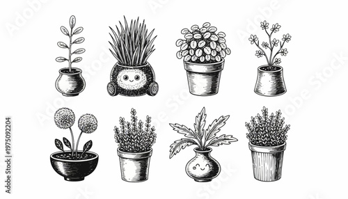 A collection of nine potted plants with diverse foliage and flowers arranged on a surface