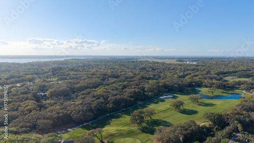Принти на полотні Aerial shot of vast miles of trees and homes in Amelia Island Florida USA