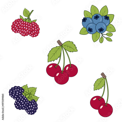 A bright and cohesive collection of illustrated berries, featuring raspberries, blueberries, blackberries, and cherries in a clean decorative style. Each element is drawn with vibrant colors, smooth s
