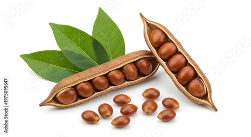 Open pods and seeds of a plant with green leaves on white background
