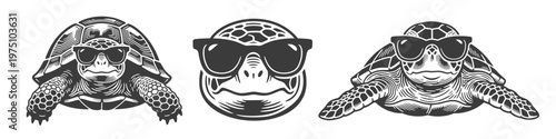 Cool tortoise and sea turtle wearing sunglasses, head and full-body, vintage monochrome vector illustration for tropical beach mascot or summer design