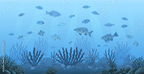 Tropical underwater fishes and coral reef, vector illustration for marine biology design