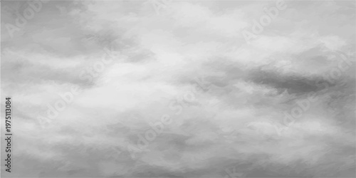 overcast sky, nature's moody monochrome tapestry that features an ethereal dance of shadows and light, painting a scene of atmospheric depth and beauty.