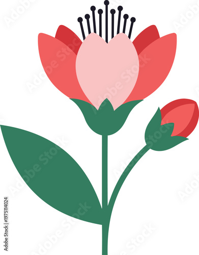 Pink flower with green stem and leaves plant bloom